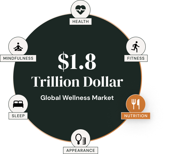 Global Wellness Market